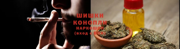 прущие крисы Пестово