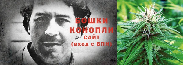 прущие крисы Пестово