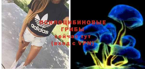 прущие крисы Пестово