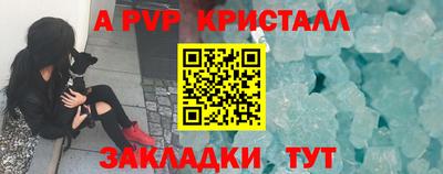 сатива Кингисепп