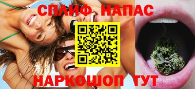 сатива Кингисепп