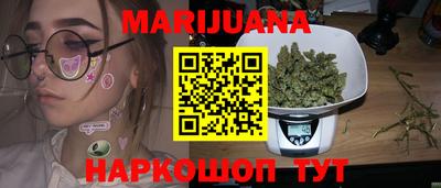 сатива Кингисепп