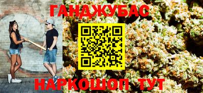 сатива Кингисепп