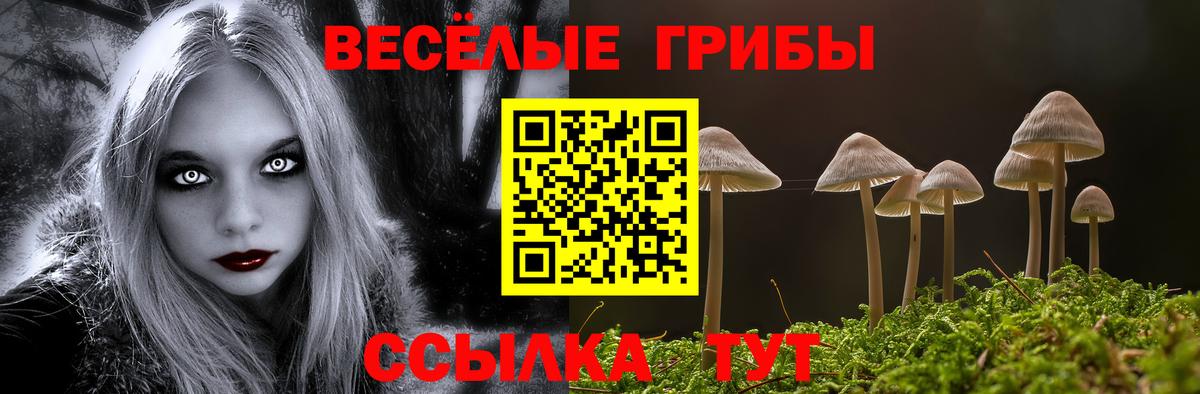 Псилоцибиновые грибы мицелий Туймазы