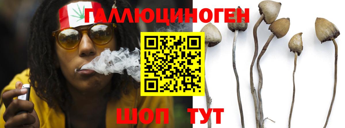 Туймазы  Псилоцибиновые грибы GOLDEN TEACHER  Вход с VPN 